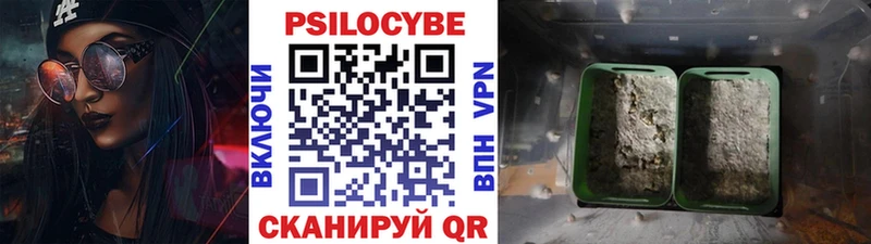 Купить закладки  Ясный  Псилоцибиновые грибы мицелий 
